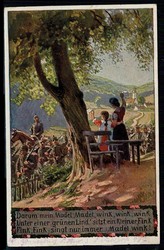 'Verein für das Deutschtum im Ausland E.V.', Propaganda-/Werbekarte ...