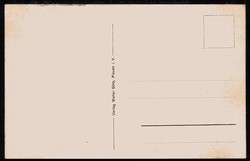 Plauen, Bismarckturm am Kemmler, um 1910, ungebraucht, gute Erhaltung.