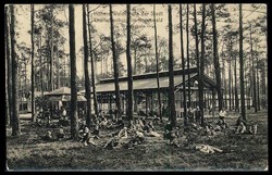 Grunewald-Berlin, Gruß-Karte zur Thematik Natur, Naturschutz, ...