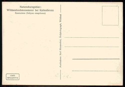 Natur- und Umweltschutz, frühe Karte, hier 'Naturschutzgebiet ...