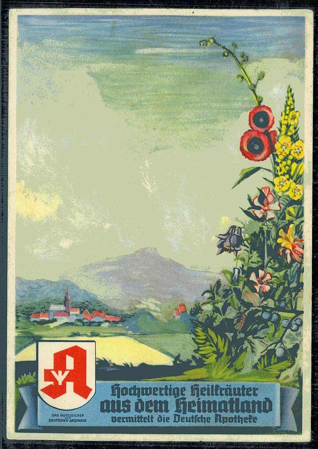 Alte Firmen-Werbekarte, hier 'Hochwertige Heilkräuter aus dem ...