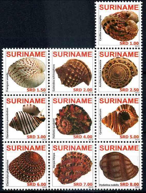 Gehäuse von Meeresweichtieren aus aller Welt-ZD 2010, tadellos ...