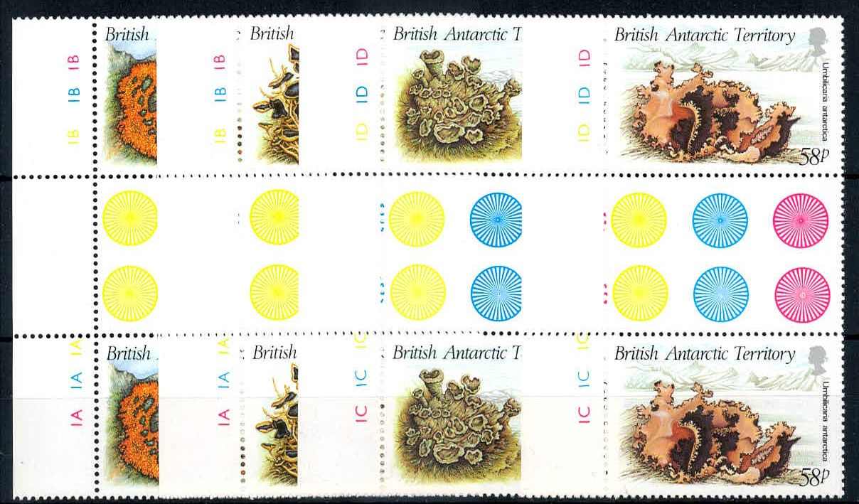 Flechten 1989, in Paaren mit Zwischenstegen und Seitenrand, tadellos ...