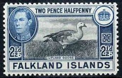 2480: Falkland