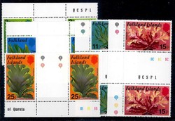 Seetang 1979, in Paaren mit Zwischenstegen und Seitenrand, tadellos ...