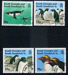 842030: Tiere, Vögel, Pinguine