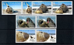 Südlicher See-Elefant 2008, in waager. Paaren, tadellos postfrisch, ...