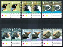 auf Falkland brütende Pinguine 2008, in waager. Paaren, tadellos ...