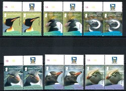 auf Falkland brütende Pinguine 2008, in waager. Paaren, tadellos ...