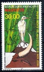 4415: Mayotte