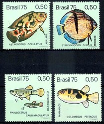 1935: Brasilien