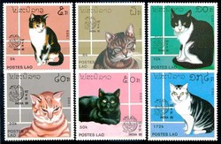 841025: Tiere, Säugetiere, Katzen