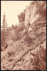 Mittenwald: s/w.-Fotokarte mit zwei Wanderern im Wald, gelaufen 1926 ...