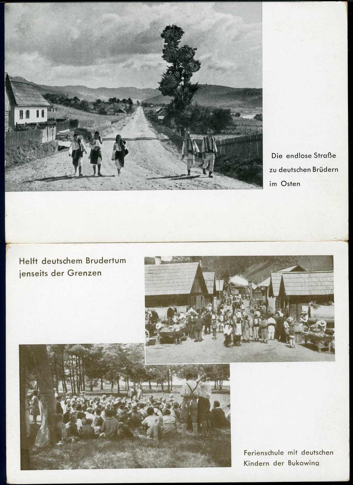 Bukowinakreis München: zwei s/w.-AK's zum Thema Solidarität zu der ...