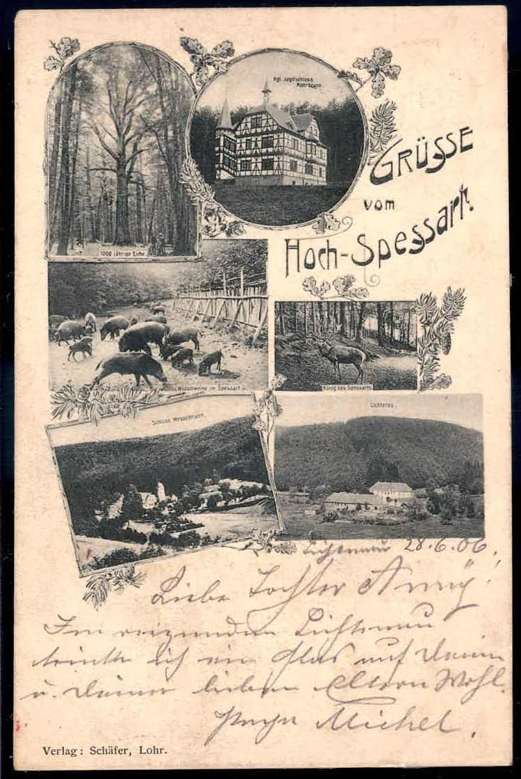 Grüße vom Hoch-Spessart: s/w.-AK mit vers. Ansichten, u. a. Schloss ...