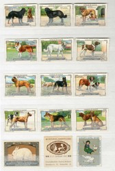 7960: Lots and Collections Vignettes and letter seals - Collections