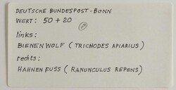 Jugend: Bestäuberinsekten-Sätze 1984, acht Original-Entwürfe zu ...