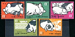 Schweinezucht 1960 kplt., gestempeltAutomatically generated ...