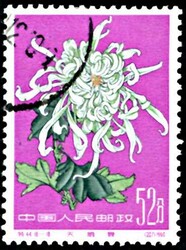 Chrysanthemen I bis III kplt., gestempelt, meist Originalgummi mit ...