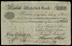 110.180: Banknoten - Irland