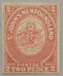 4545: ニューファウンドランド