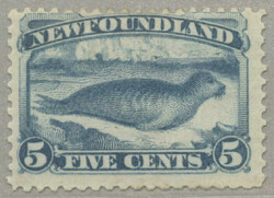 4545: ニューファウンドランド