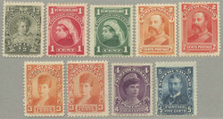 4545: ニューファウンドランド