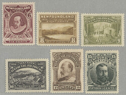 4545: ニューファウンドランド