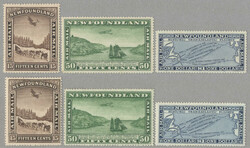 4545: ニューファウンドランド