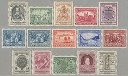 4545: ニューファウンドランド