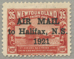 4545: ニューファウンドランド