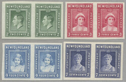 4545: ニューファウンドランド