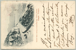 1823/1902, postcard from KIMBERLEY to France taxed upon arrival with ...