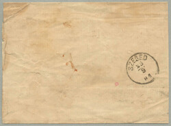 1881, 3+3 Sld, green, fine print, on printed matter - wrapper from ...