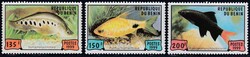 Losabbildung