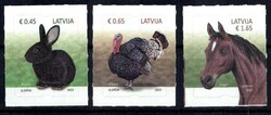 Losabbildung