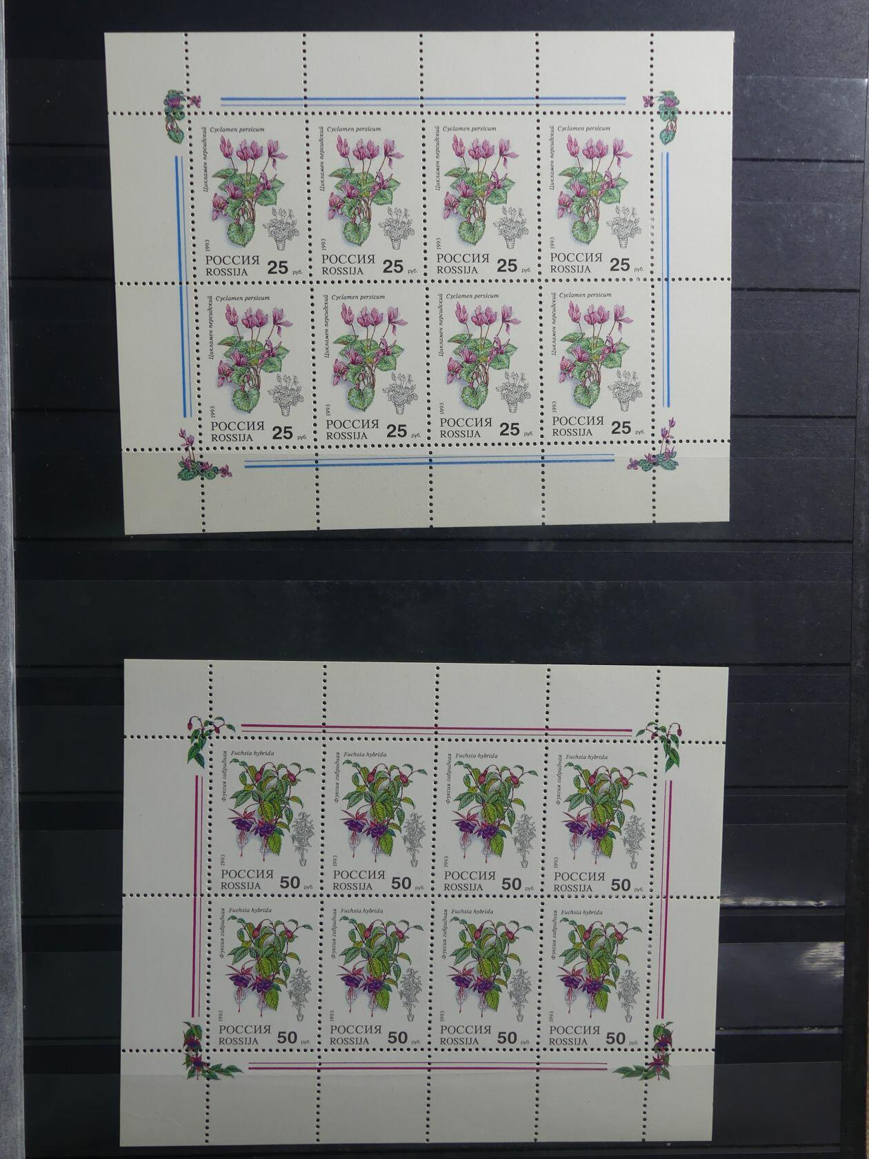 Image 174 for lot number 4165 for AIX-PHILA - 76. Briefmarkenauktion