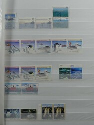 Hübsche Sammlung alt bis neu inkl. Provinzen und Antarktis meist ...