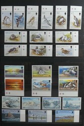 2510: Falkland Islands Territory F South Georgien - Collections