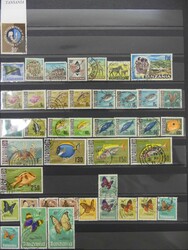 6185: Tanzania - Collections