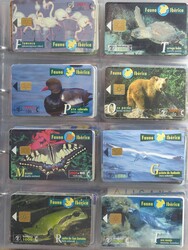 Große Sammlung in 12 Ordnern. Dabei kein Deutschland.