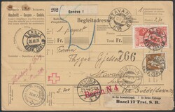 26.3.1924 - SBK 110 + 142 (30Rp. + 3Fr.) auf Paketbegleitadresse mit ...