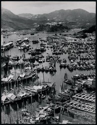 2980: Hongkong