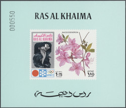 5345: Ras al Chaima - Sammlungen