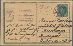 1918, Österreich, Ganzsachenkarte Karl 8 H. grün mit ...