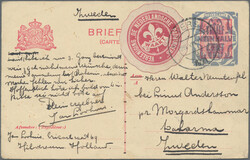 1921, Netherlands, vignette "VEREENIGING "DE NEDERLANDSCHE ...