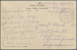 1915 – Allied Forces: Stampless picture post card of 'Buffalos on ...