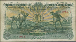 110.180: Banknoten - Irland