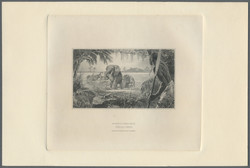 110.550.55: Banknotes – Africa - Belgian Congo