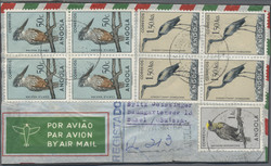 7360: Collections and Lots Africa